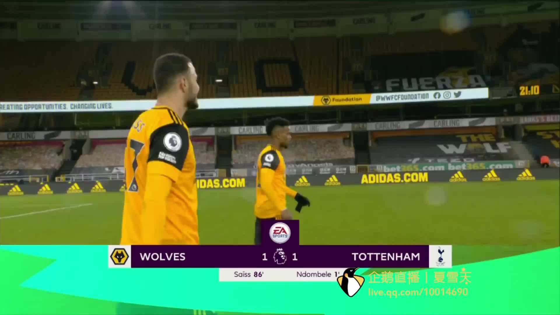 己的阵容 己的阵容